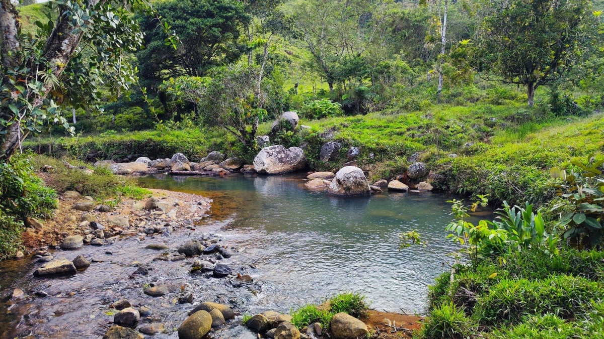 Costa Rica River Property