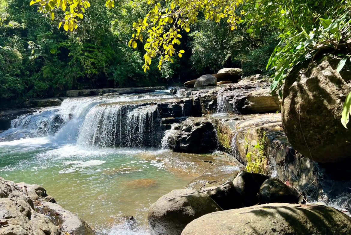 Ojochal Costa Rica ecohome for sale by owner with private nature preserve