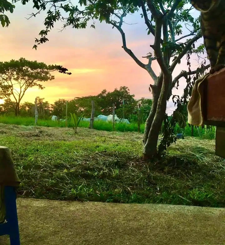 2 Houses Surrounded By Nature Near Montezuma Costa Rica for Sale - Sunset