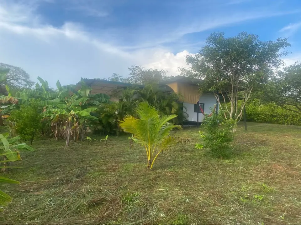 2 Houses Surrounded By Nature Near Montezuma Costa Rica for Sale