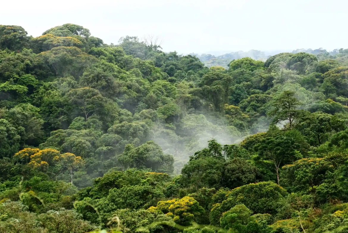24 Acre Forest Reserve With 2 Rivers Near La Virgen de Sarapiqui for Sale