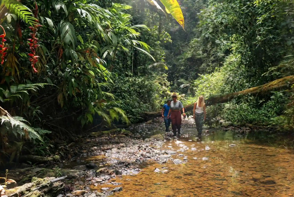 24 Acre Forest Reserve With 2 Rivers Near La Virgen de Sarapiqui for Sale By Owner