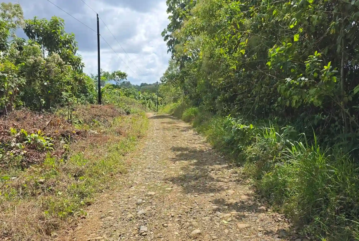 24 Acre Forest Reserve With 2 Rivers Near La Virgen de Sarapiqui for Sale By Owner - Road