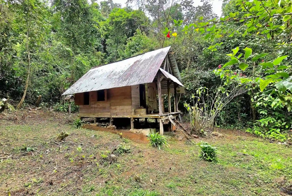 24 Acre Forest Reserve With 2 Rivers Near La Virgen de Sarapiqui for Sale - Cabin