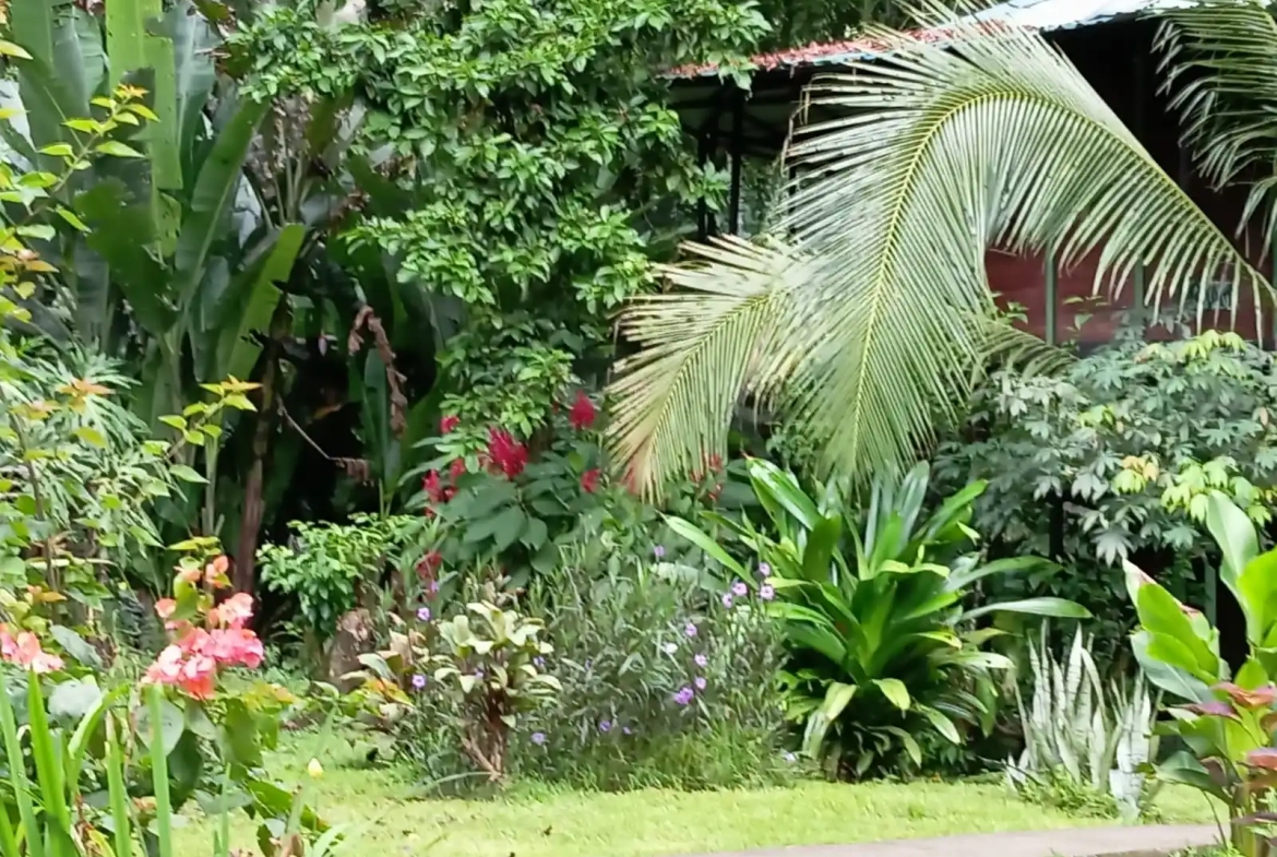 Costa Rica Caribbean Rainforest Real Estate for Sale by Owner - Puerto Viejo