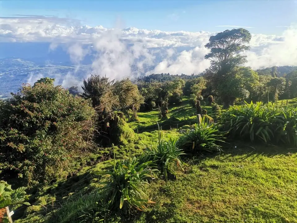 Dairy Farm with Large Home and 3 Cabins for Sale - View of Turrialba Costa Rica