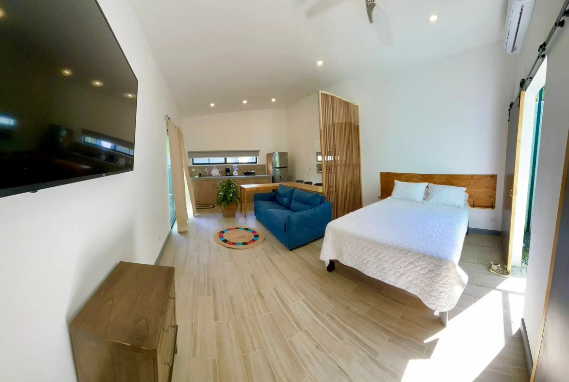 Modern Home and 3 Apartments for Sale in Jaco - Studio Apartment