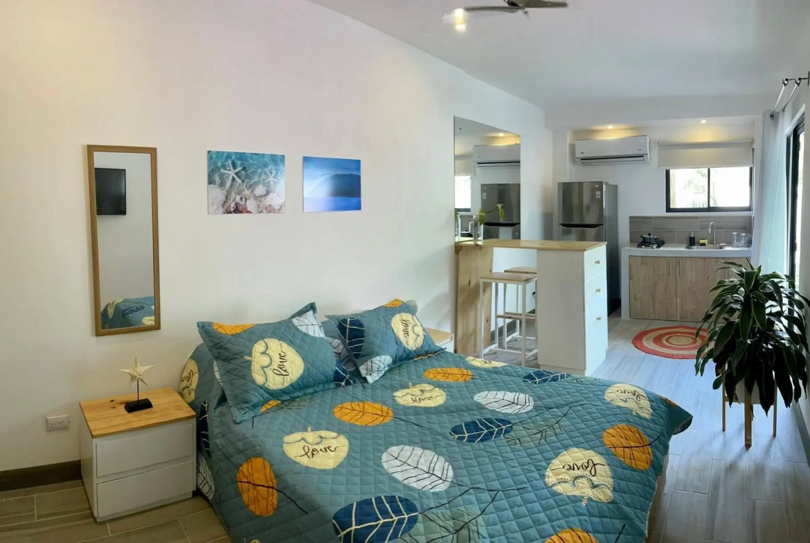 Modern Home and 3 Apartments for Sale in Jaco - Studio Apartment Interior