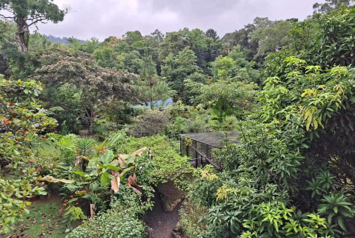Private Mountain Sanctuary with 3 Homes Near Jaco Costa Rica FSBO