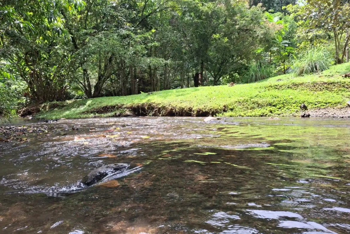 Private Mountain Sanctuary with 3 Homes Near Jaco Costa Rica For Sale - River