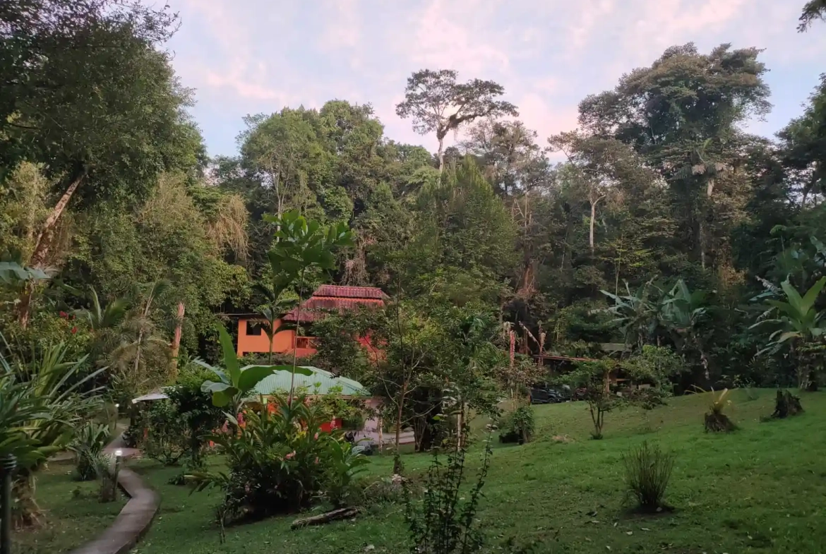 Rainforest Treehouses for Sale Near Puerto Viejo Costa Rica