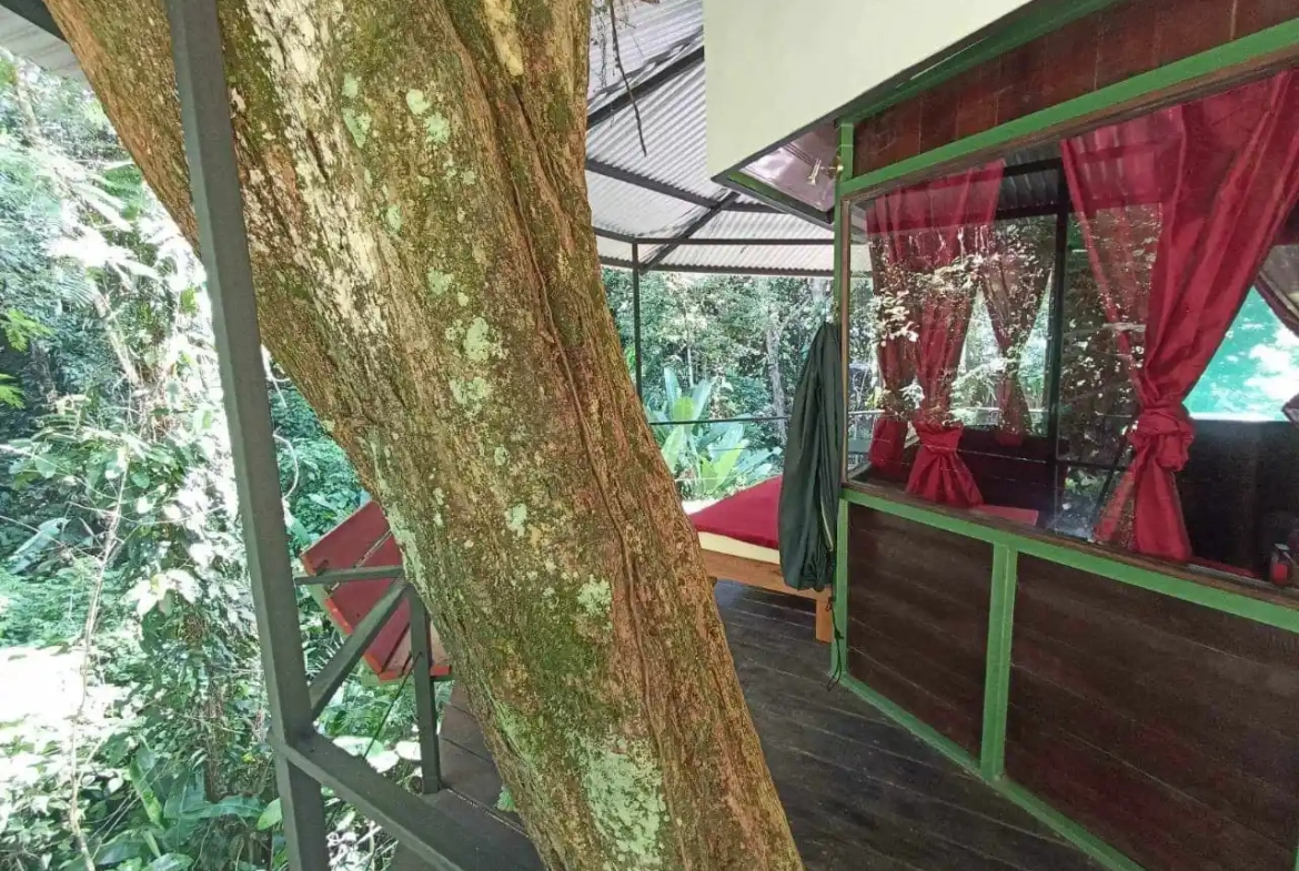Treehouse Near Puerto Viejo Costa Rica for Sale By Owner