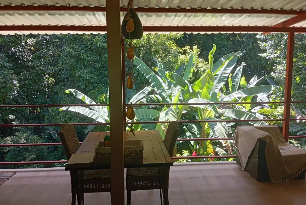 Treehouses and Home in Caribbean Rainforest Near Puerto Viejo Costa Rica for Sale