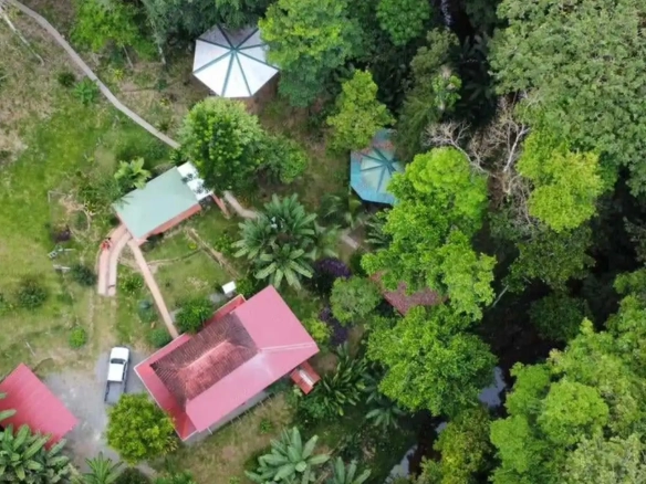 Treehouses and Home in Caribbean Rainforest Near Puerto Viejo for Sale By Owner