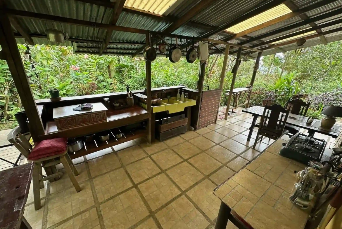2 Bedroom Mountain Cabin near Tinamaste Costa Rica for Sale - Outdoor Kitchen
