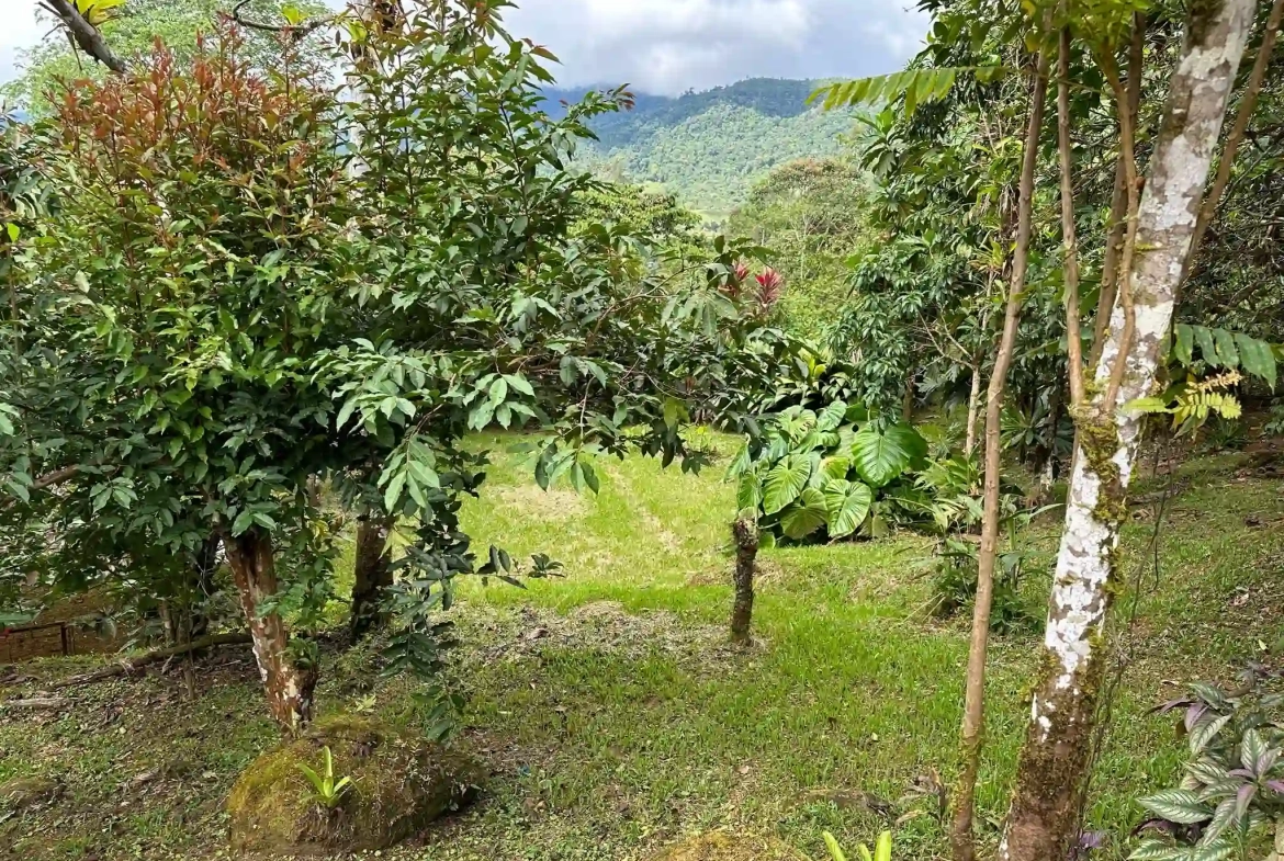 2 Bedroom Mountain Summer Cabin near Tinamaste Costa Rica for Sale by Owner - Mountain View