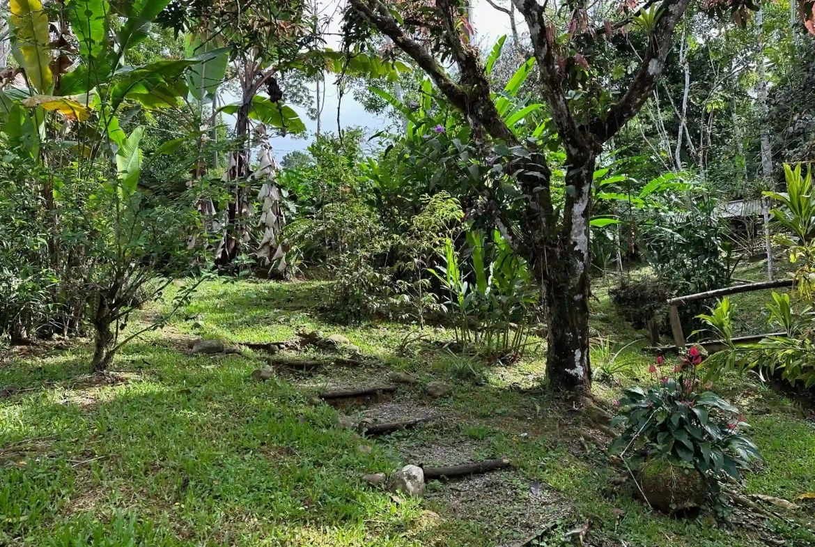 2 Bedroom Mountain Summer Cabina near Tinamaste Costa Rica - Pathway Steps