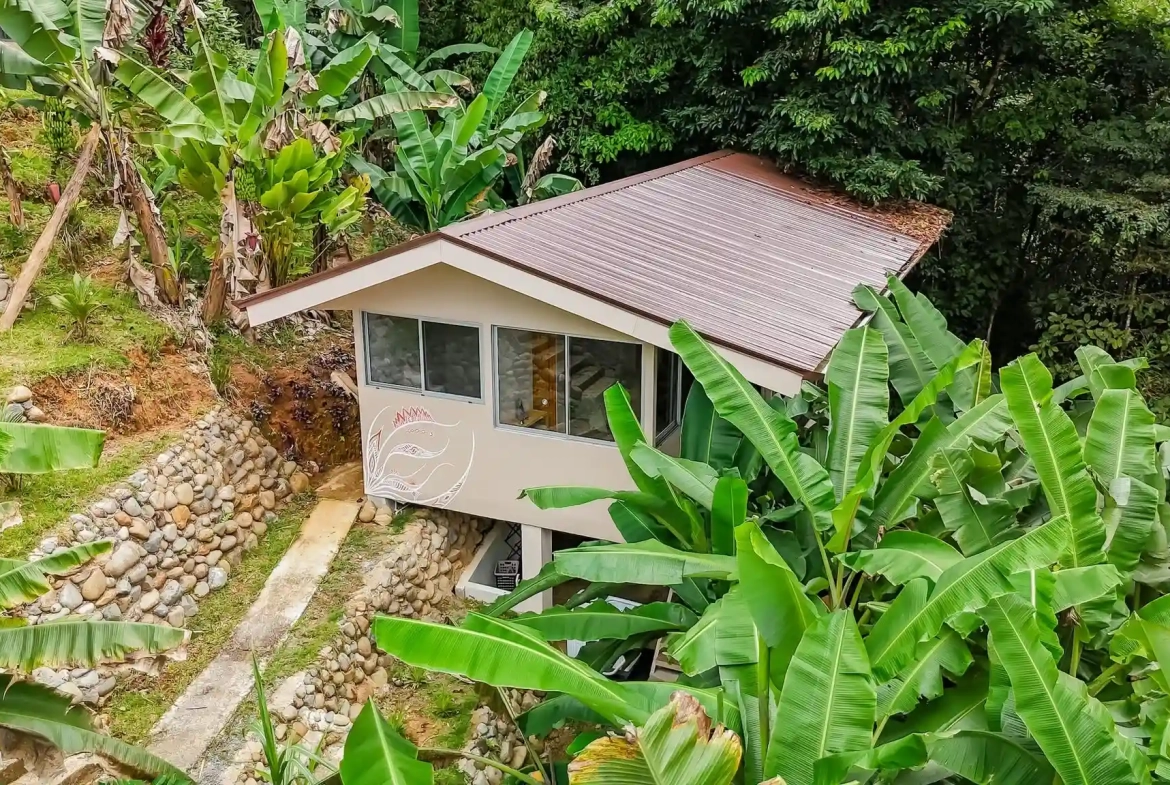 Mountain Retreat Property at Serenity Mountain Near Ojochal for Sale by Owner - Large Guest House