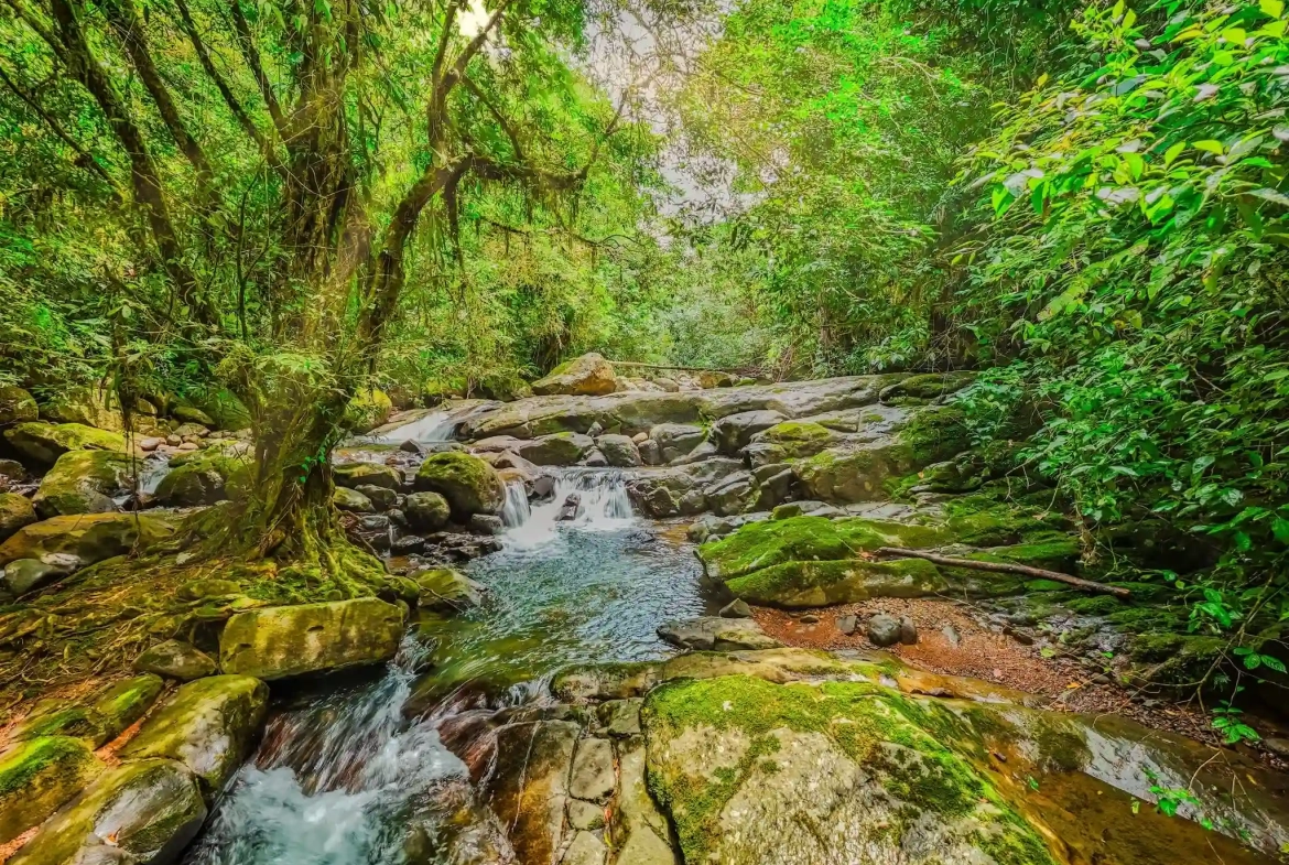 Mountain Retreat Property with Guest House Serenity Mountain Near Ojochal for Sale - River View
